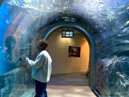 名古屋港水族館